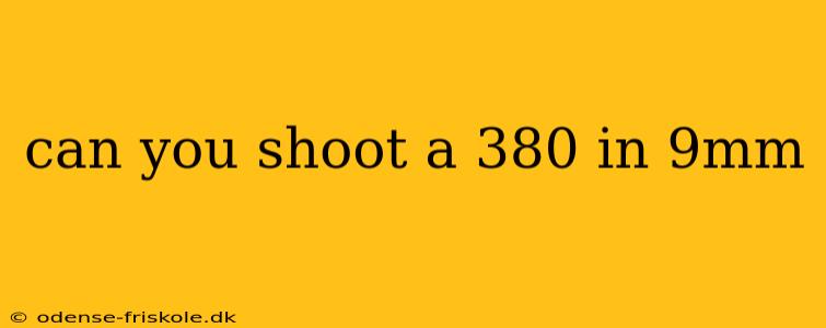 can you shoot a 380 in 9mm