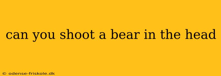 can you shoot a bear in the head