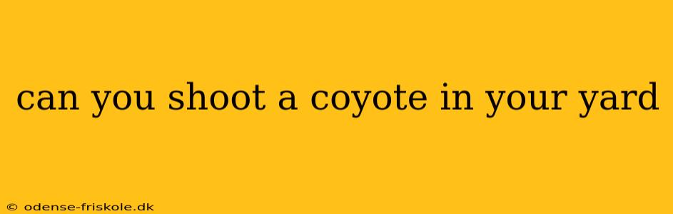 can you shoot a coyote in your yard