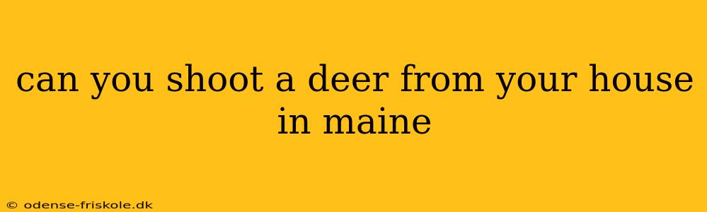 can you shoot a deer from your house in maine