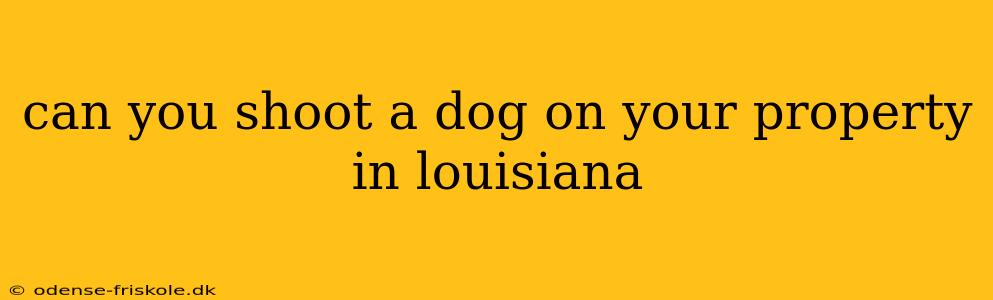 can you shoot a dog on your property in louisiana