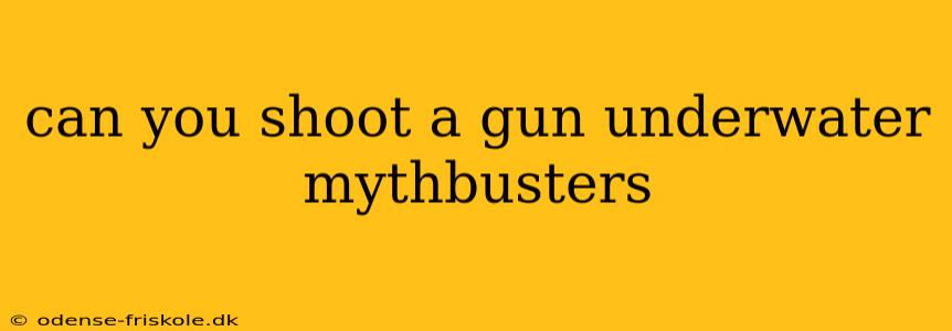 can you shoot a gun underwater mythbusters