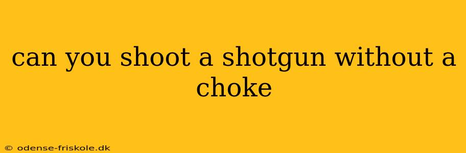 can you shoot a shotgun without a choke