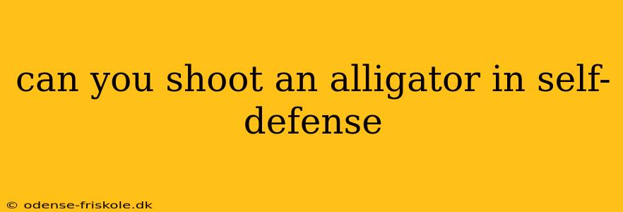 can you shoot an alligator in self-defense