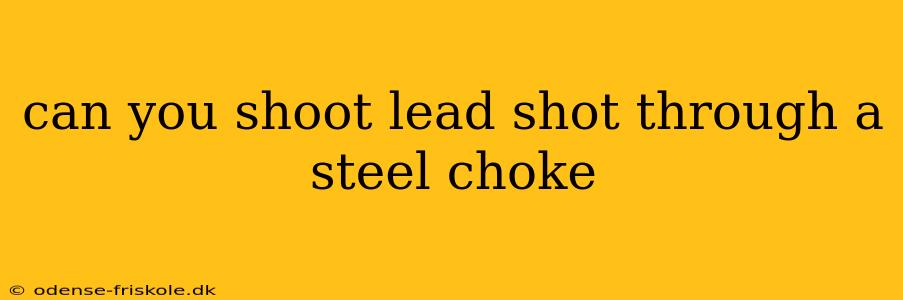 can you shoot lead shot through a steel choke