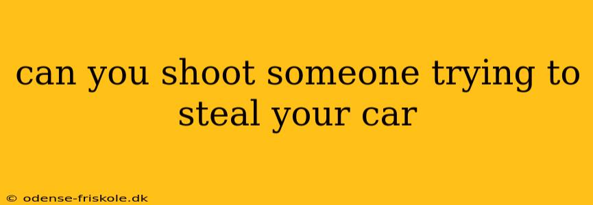 can you shoot someone trying to steal your car