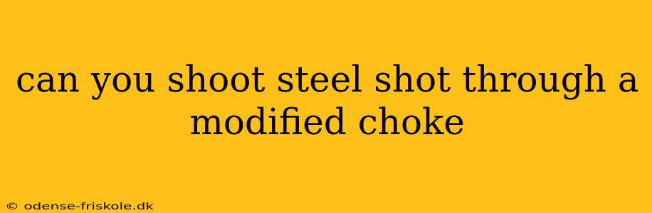 can you shoot steel shot through a modified choke