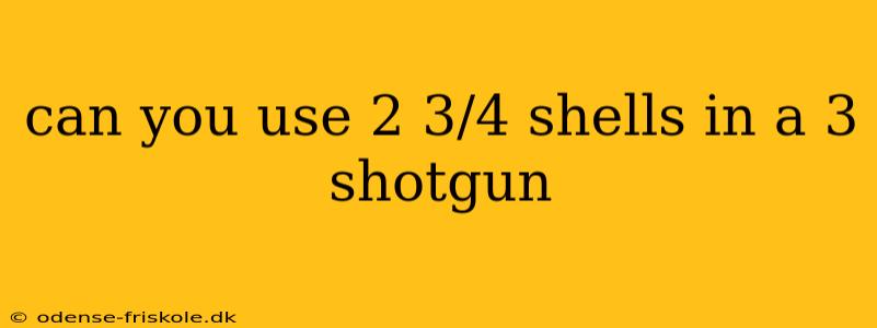 can you use 2 3/4 shells in a 3 shotgun