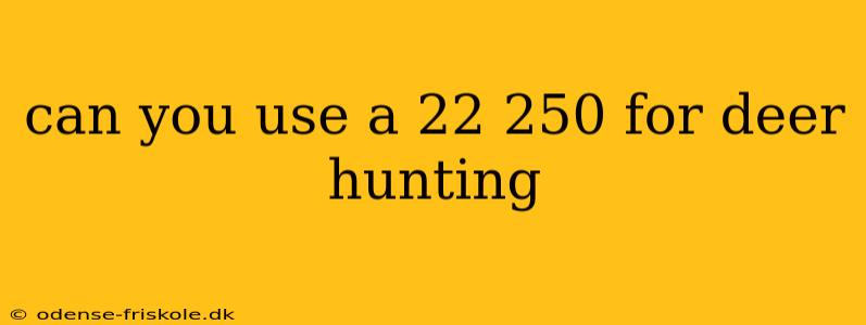 can you use a 22 250 for deer hunting