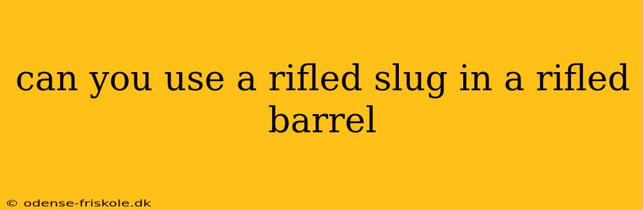 can you use a rifled slug in a rifled barrel