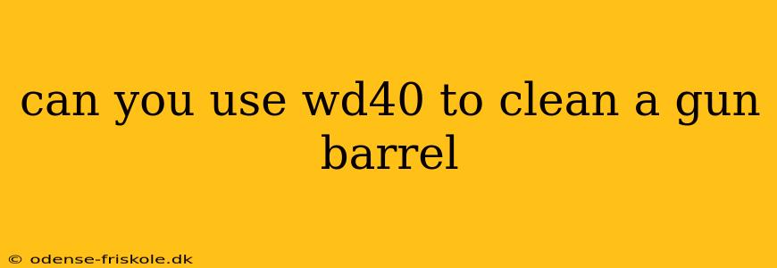 can you use wd40 to clean a gun barrel