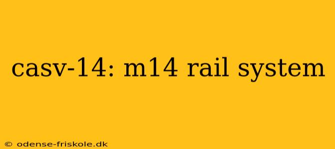 casv-14: m14 rail system