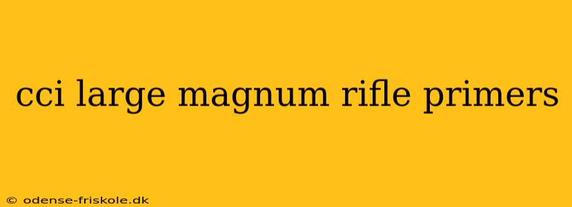 cci large magnum rifle primers