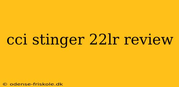 cci stinger 22lr review