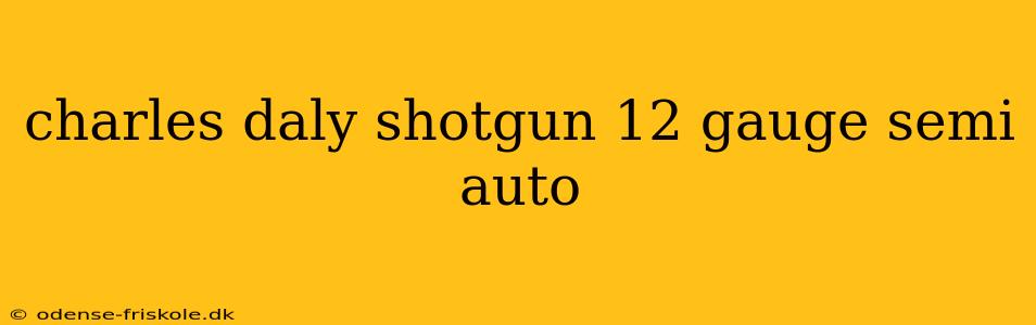 charles daly shotgun 12 gauge semi auto