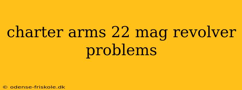 charter arms 22 mag revolver problems