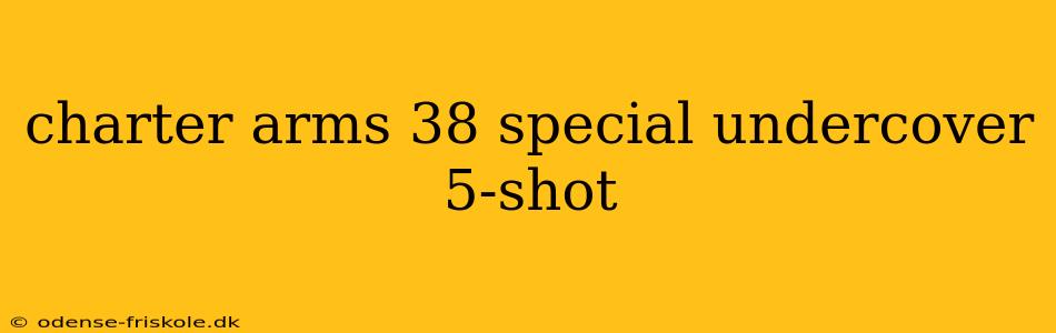 charter arms 38 special undercover 5-shot