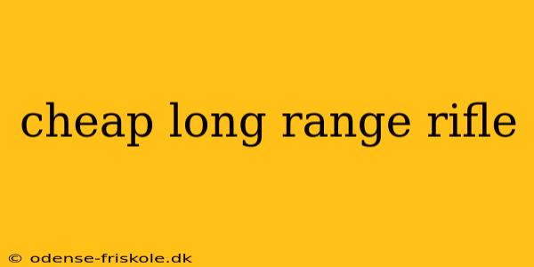 cheap long range rifle