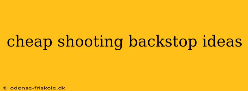 cheap shooting backstop ideas