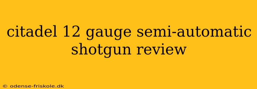 citadel 12 gauge semi-automatic shotgun review