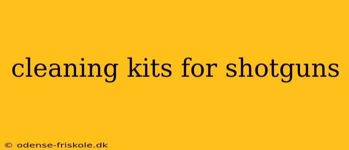 cleaning kits for shotguns