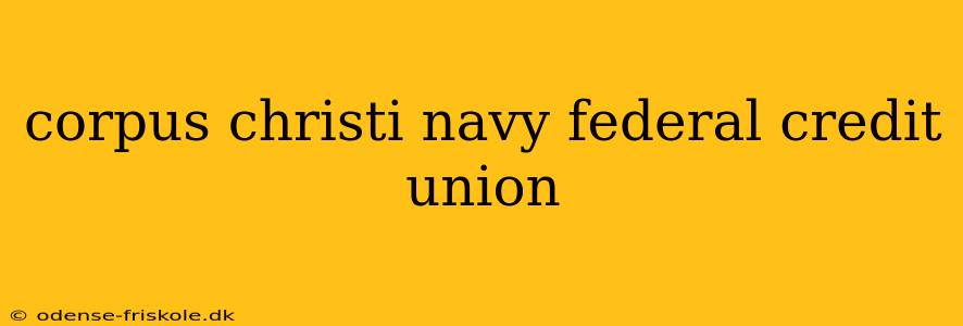 corpus christi navy federal credit union