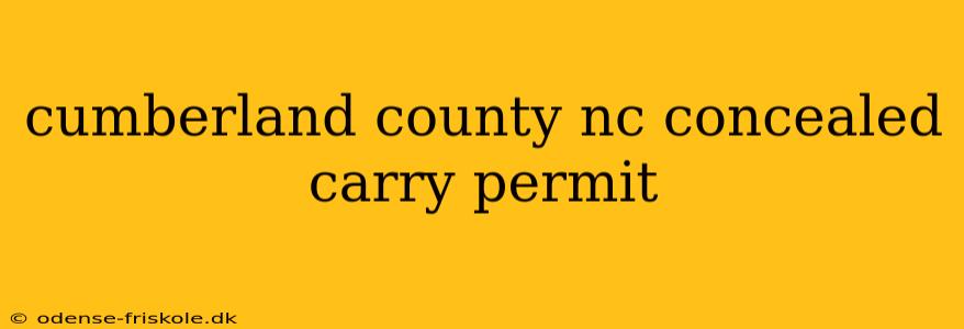 cumberland county nc concealed carry permit