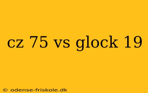 cz 75 vs glock 19