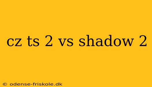 cz ts 2 vs shadow 2