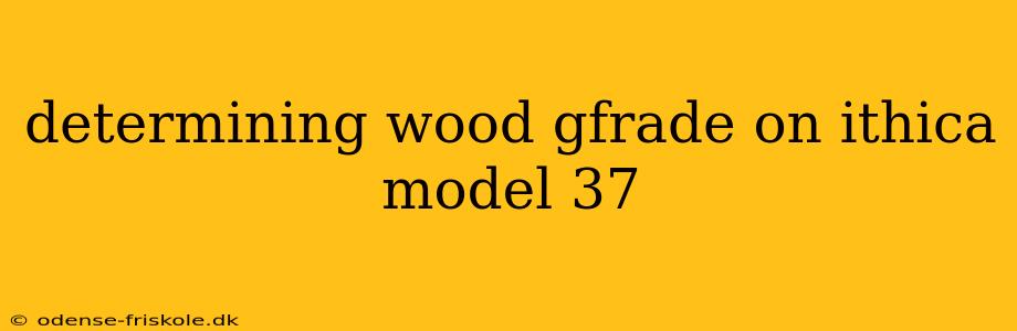 determining wood gfrade on ithica model 37