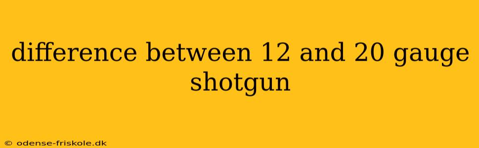 difference between 12 and 20 gauge shotgun