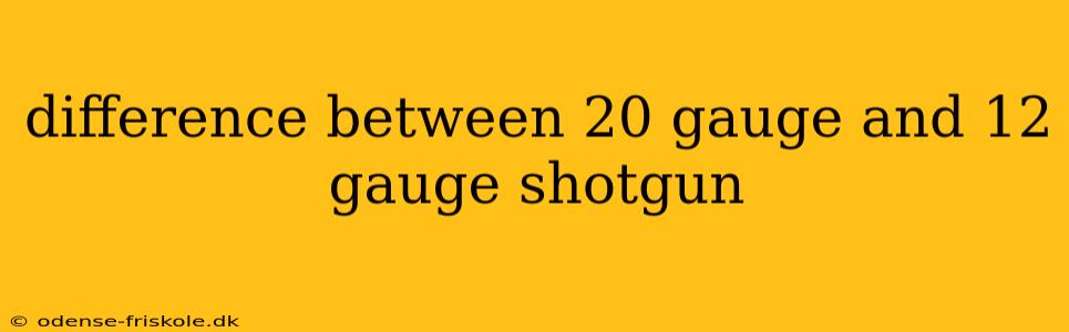 difference between 20 gauge and 12 gauge shotgun