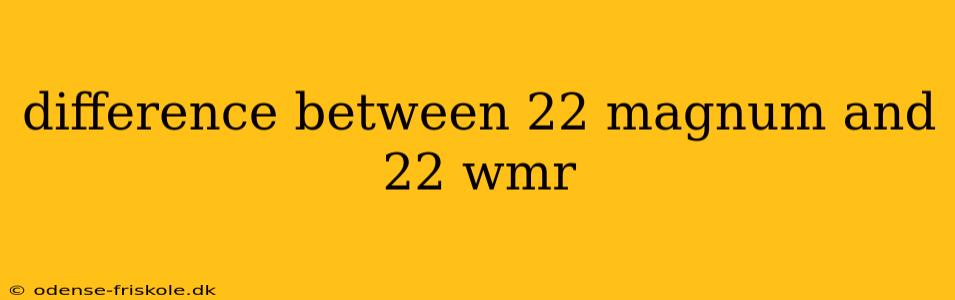 difference between 22 magnum and 22 wmr