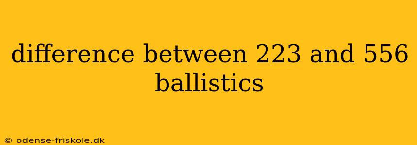 difference between 223 and 556 ballistics