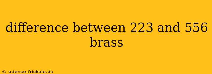 difference between 223 and 556 brass