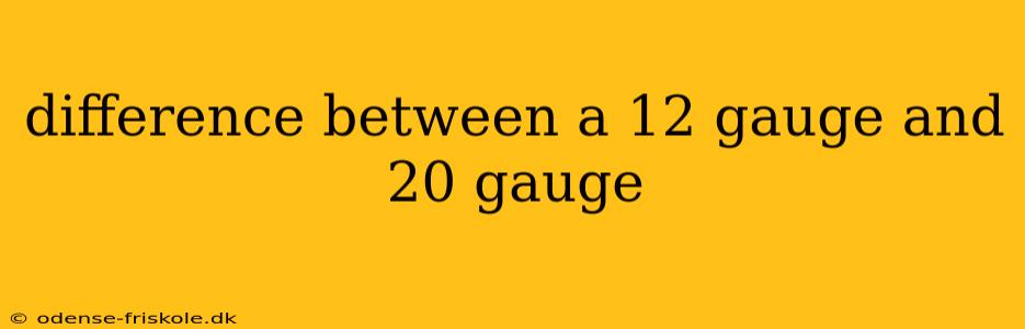 difference between a 12 gauge and 20 gauge