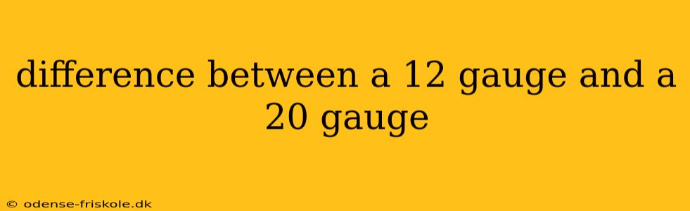 difference between a 12 gauge and a 20 gauge