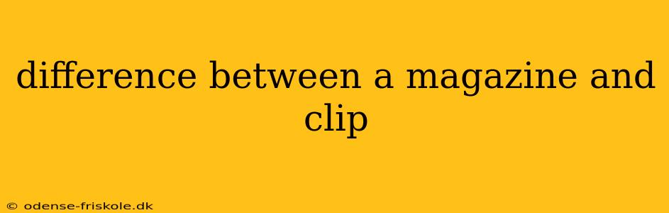 difference between a magazine and clip