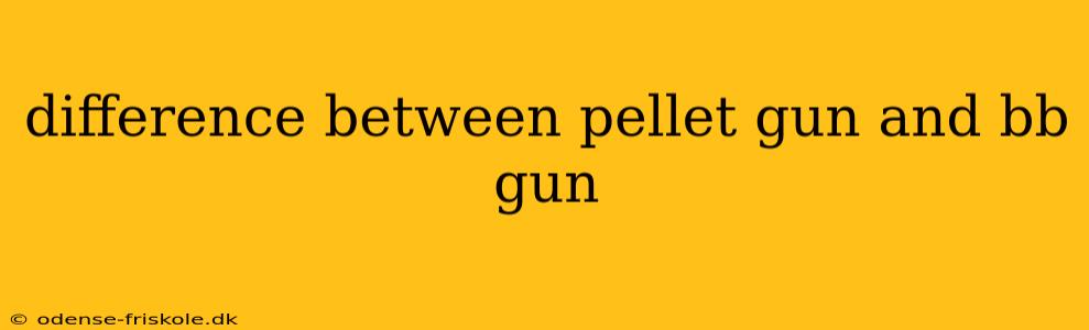 difference between pellet gun and bb gun