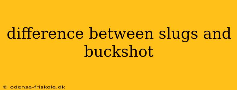 difference between slugs and buckshot