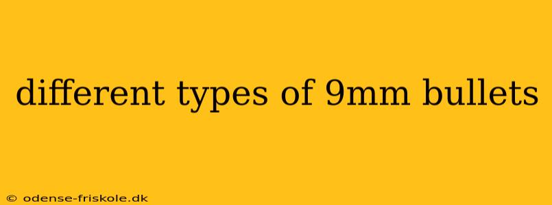 different types of 9mm bullets