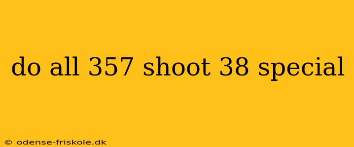 do all 357 shoot 38 special