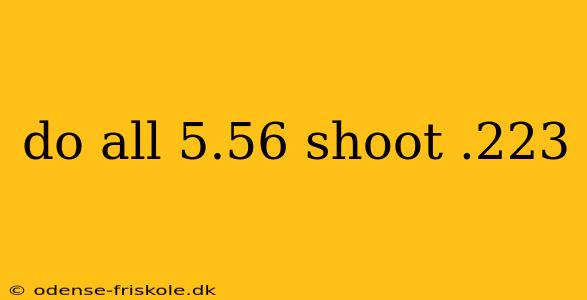 do all 5.56 shoot .223