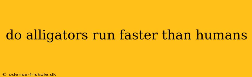 do alligators run faster than humans