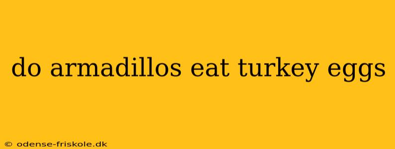 do armadillos eat turkey eggs