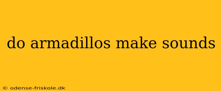 do armadillos make sounds