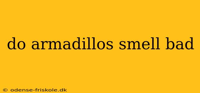 do armadillos smell bad