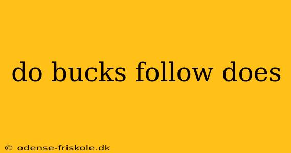 do bucks follow does