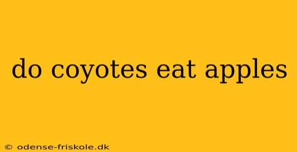 do coyotes eat apples