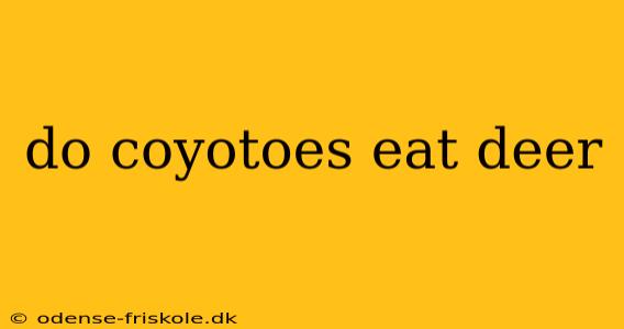 do coyotoes eat deer